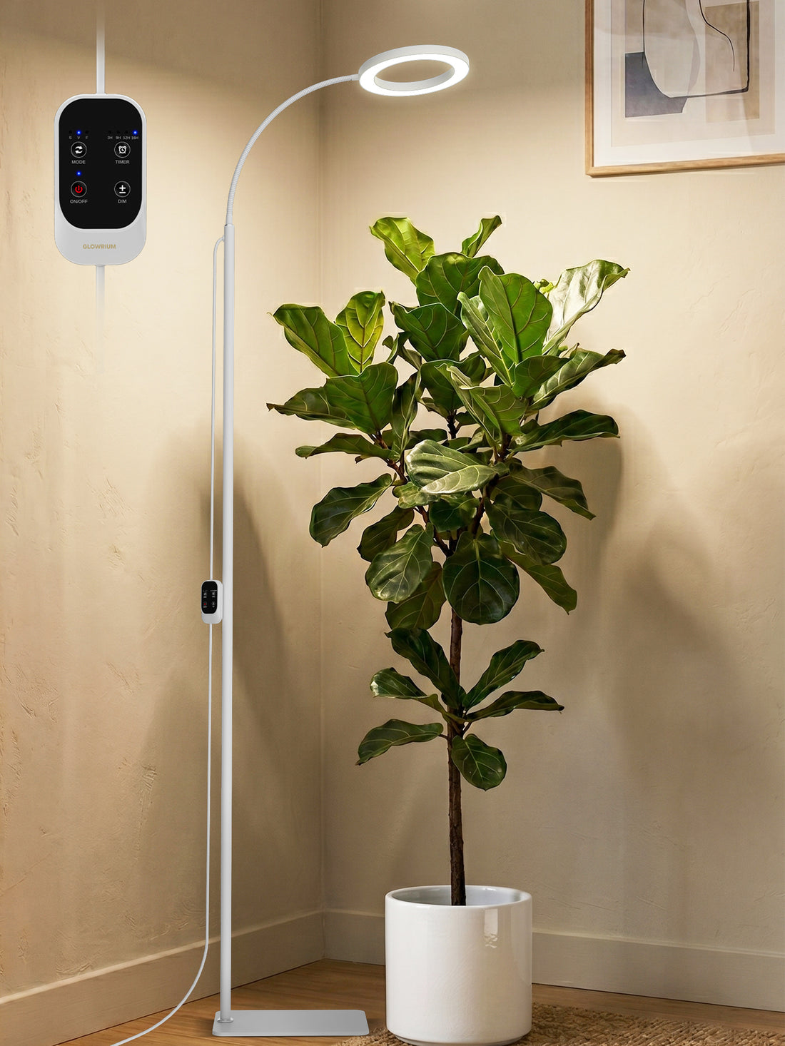 GLOWRIUM Full Spectrum 24W LED Grow Light for Indoor Plants – Adjustable Height, Timer, and Smart Care Features-G2Pro