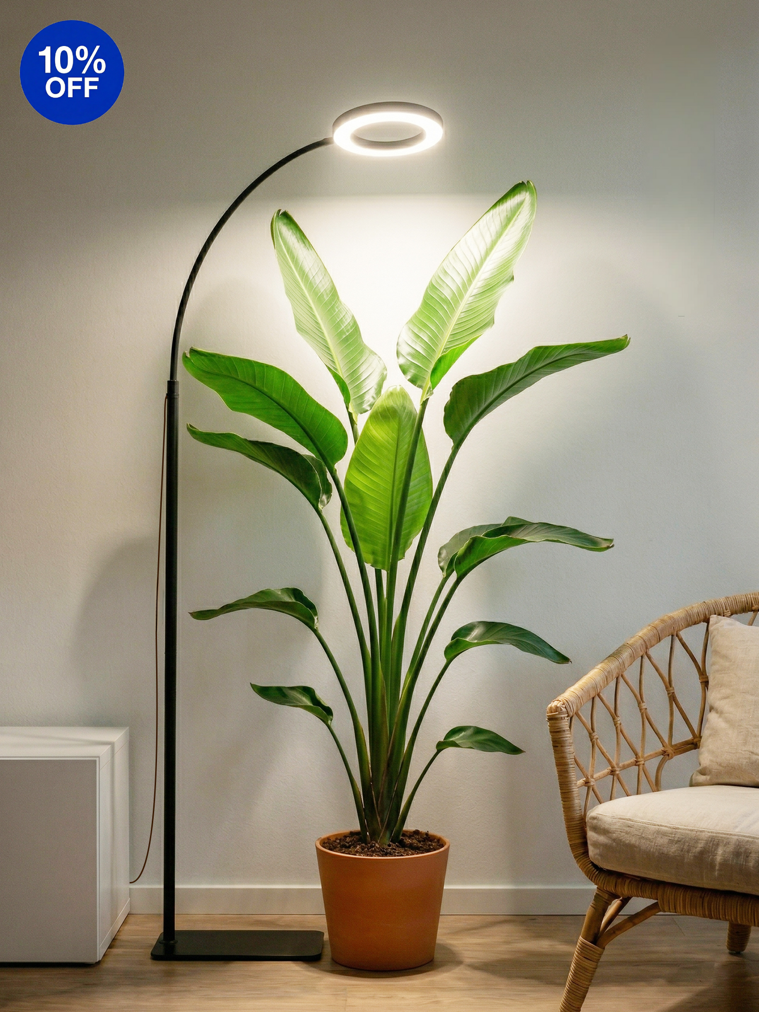 GLOWRIUM G2 Single head 20W black LED floor grow light with for large indoor plants