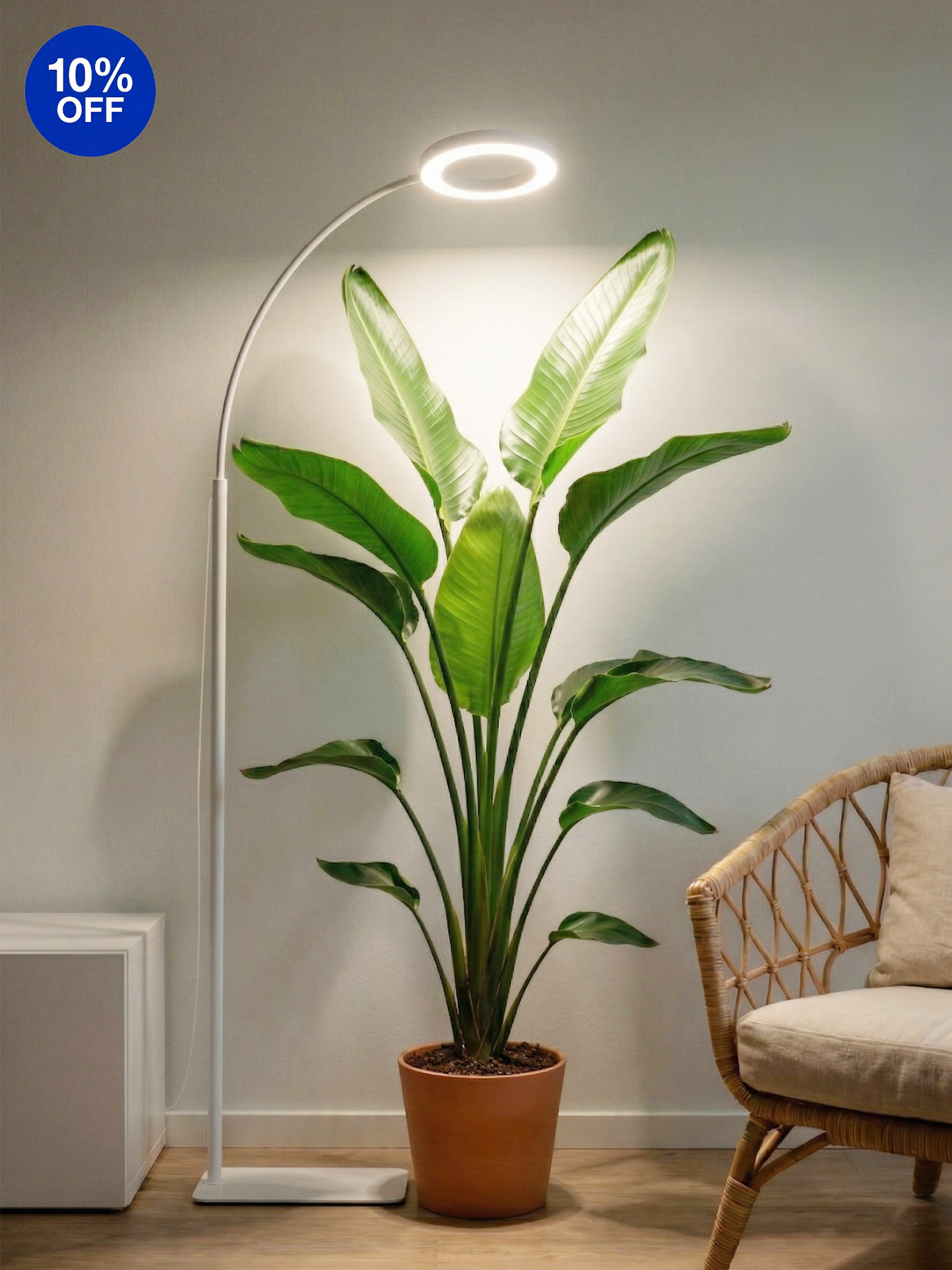 GLOWRIUM G2 Single head 20W white LED floor grow light with for large indoor plants