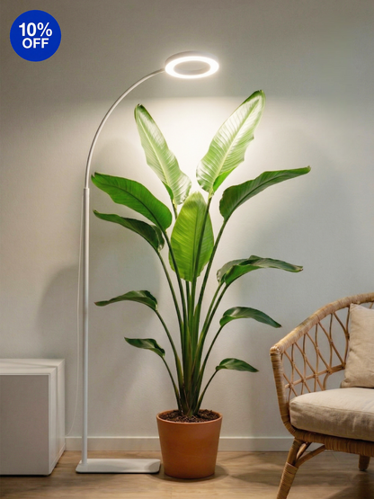 GLOWRIUM G2 Single head 20W white LED floor grow light with for large indoor plants