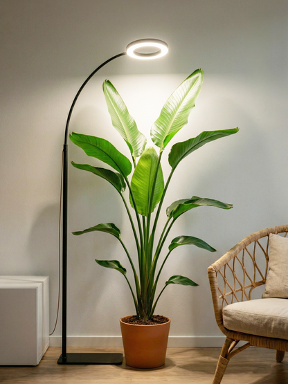 GLOWRIUM G2 | 36W Full Spectrum LED Floor Grow Light