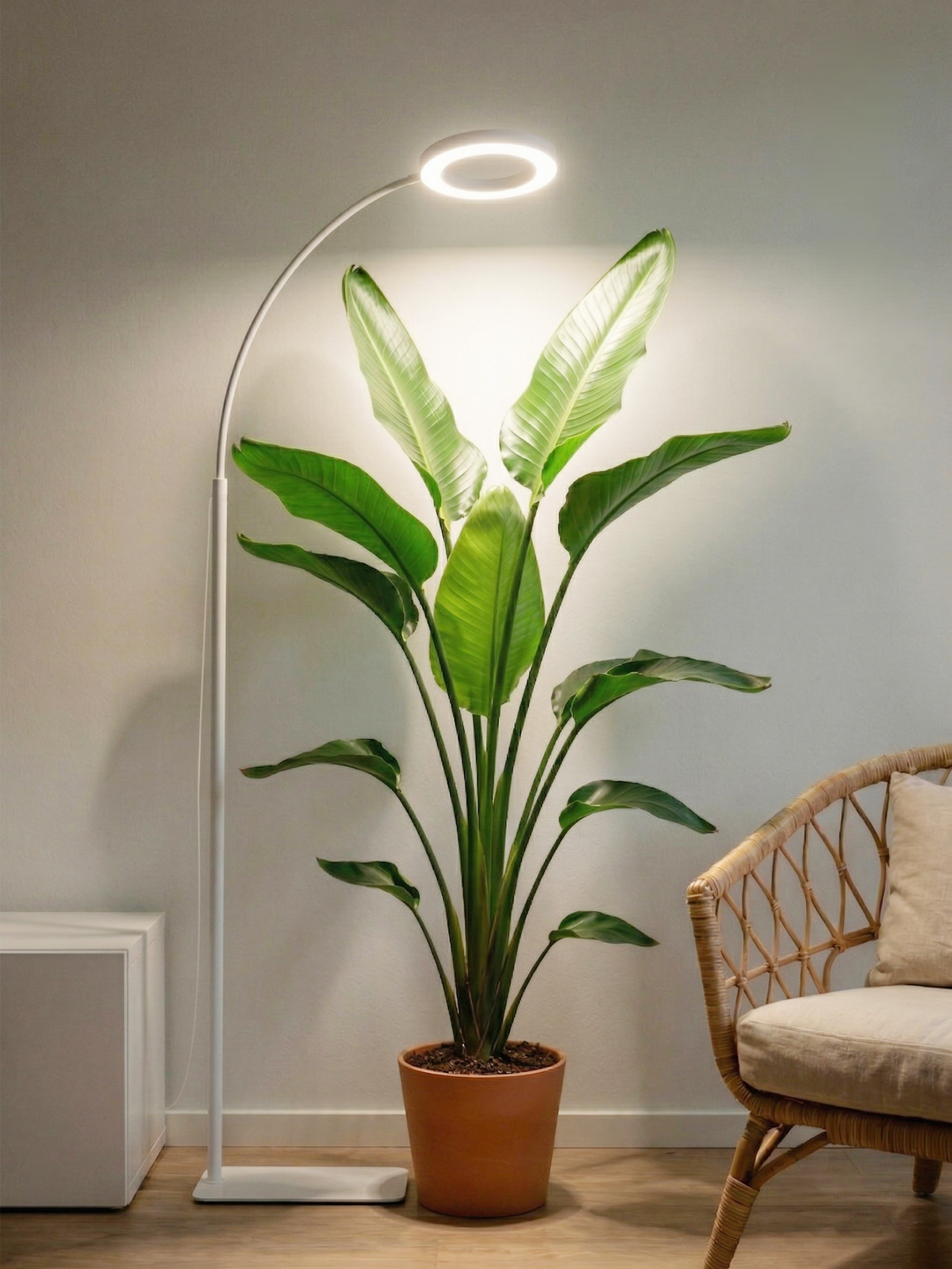 GLOWRIUM G2 | 36W Full Spectrum LED Floor Grow Light