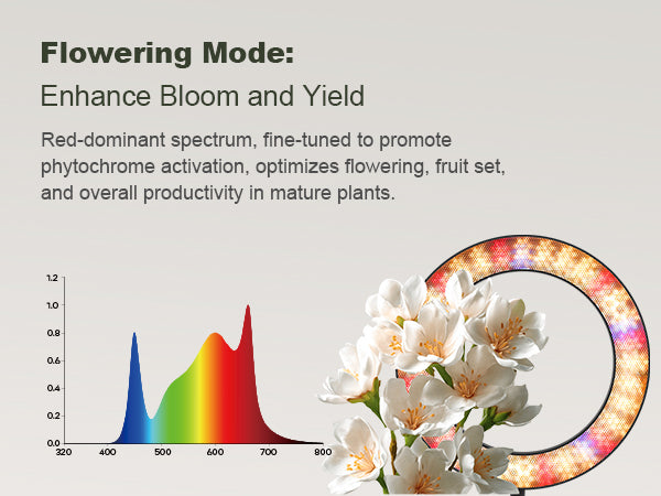 Boost blooms: Flowering mode spectrum on Glowrium G2 Pro grow light