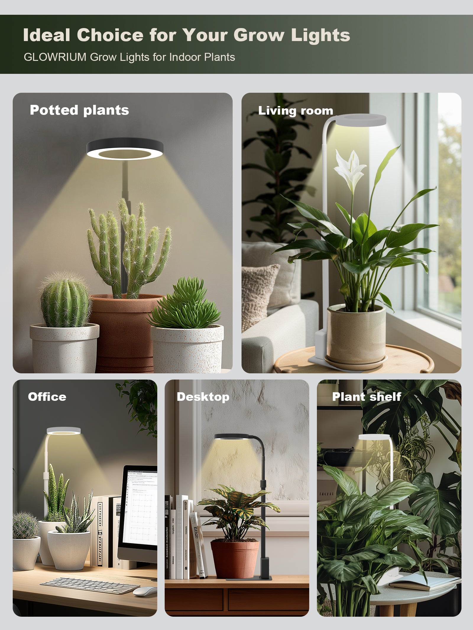 Glowrium G4 desktop grow light for office, living room, and plant shelf
