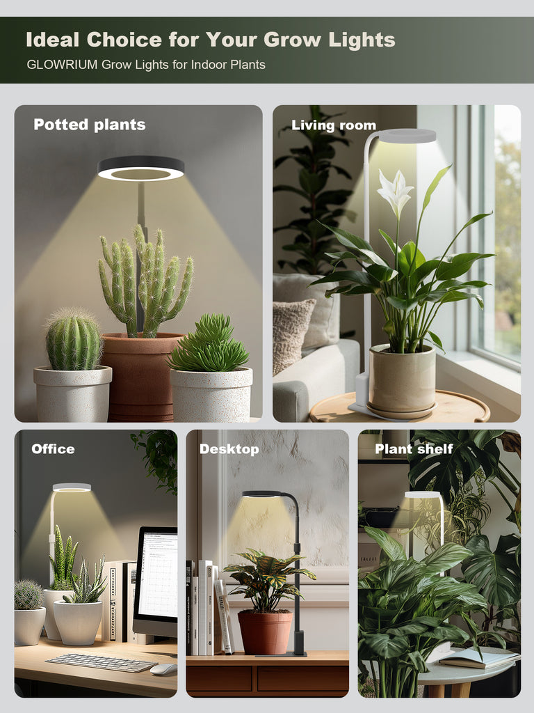 GLOWRIUM G4 | 12W Smarte Vollspektrum-LED-Desktop-Pflanzenlampe