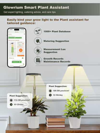 Glowrium G4 smart plant assistant app showing watering and custom lighting suggestions