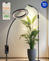 GLOWRIUM G5 24W Single Head Black Smart Full Spectrum LED Floor Grow Light