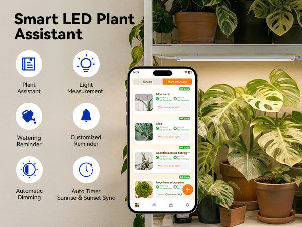 Multi-tier plant shelves indoor garden setup with GLOWRIUM G6 smart LED grow light kit