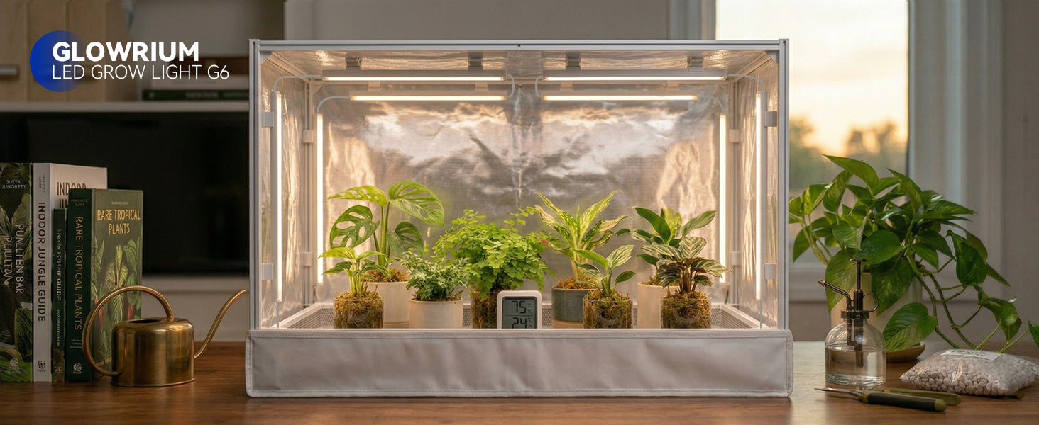 GLOWRIUM G6 LED light strips installed inside an IKEA indoor plant greenhouse cabinet for rare tropical plants