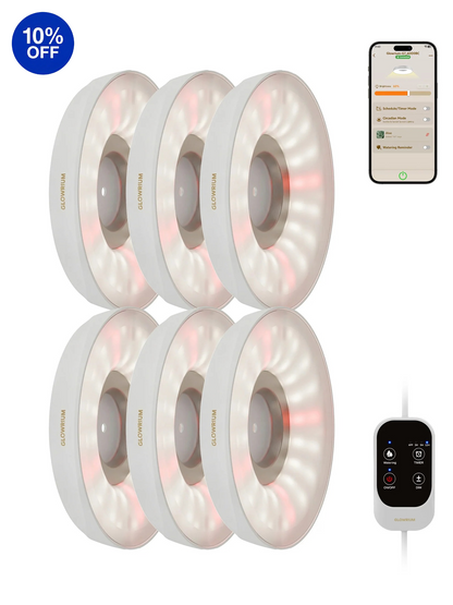 Glowrium G7 48W white 6-pack smart full spectrum LED puck grow light for indoor plant shelf