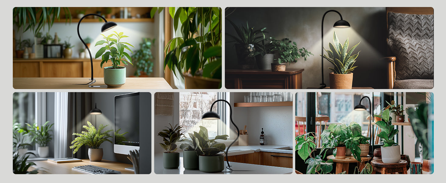 Glowrium G8 smart LED desktop grow light demonstrating versatility across work desks, kitchen counters, dark living rooms, and plant display stands