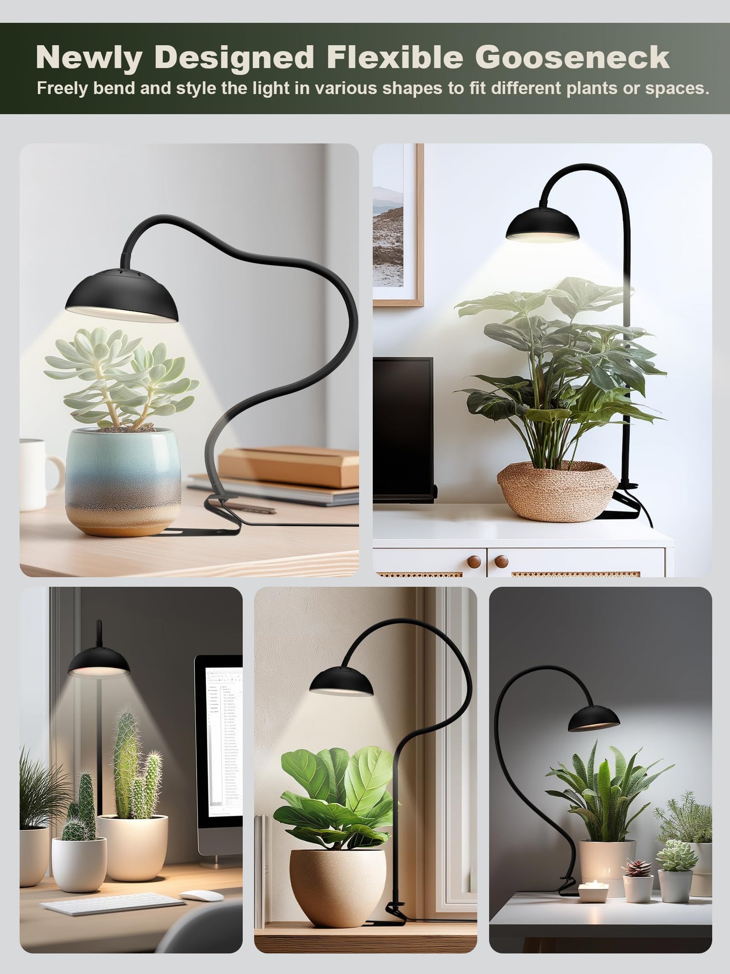 Glowrium G8 flexible gooseneck LED desktop grow light bent into multiple custom shapes to illuminate office desk succulents and cactus
