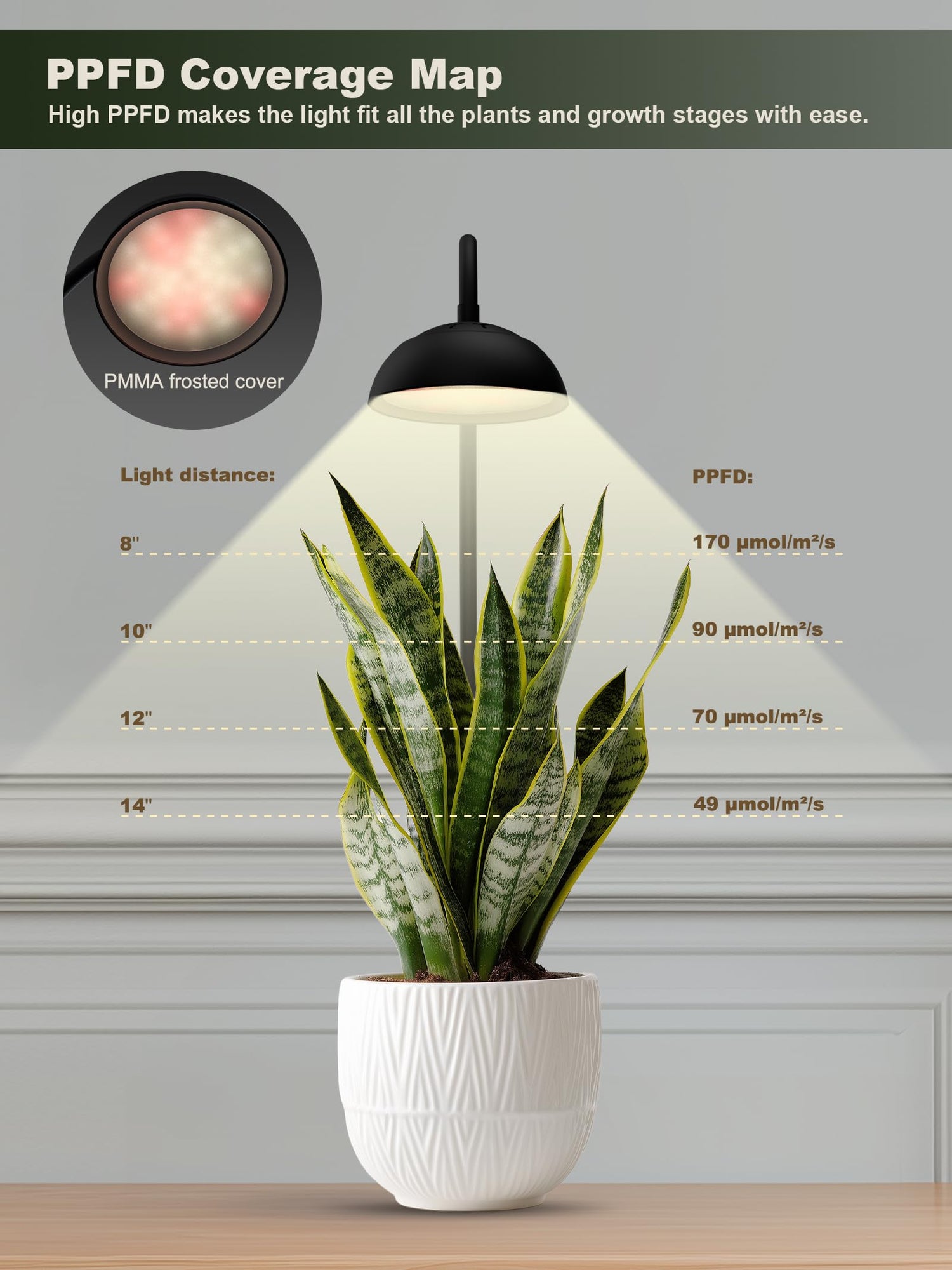 Glowrium G8 10W smart full spectrum LED desktop grow light PPFD coverage map showcasing 170 PAR value at 8 inches for potted snake plant care
