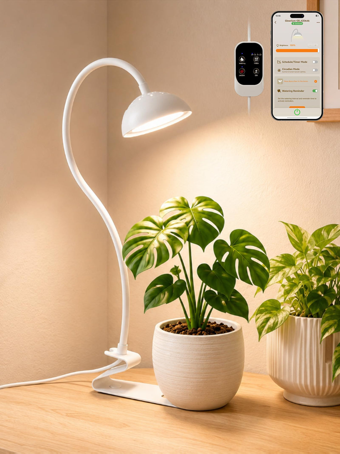 GLOWRIUM® G8 10W Smarte LED Pflanzenlampe - Vollspektrum-Pflanzenlicht für kleine Zimmerpflanzen