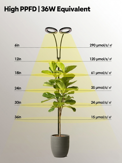 GLOWRIUM G2 | Full Spectrum LED Grow Light for Indoor Plants with Adjustable Height and Angle, Plant Light with 3/9/12/16H Timer