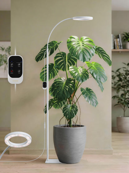 GLOWRIUM®20W Grow Light Full Spectrum LED Floor Plant Light for Indoor Plants-G2