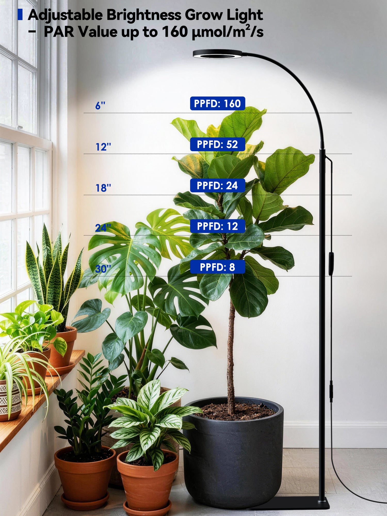 GLOWRIUM®Grow Light  Full Spectrum LED Floor Plant Light for Indoor Plants-G2