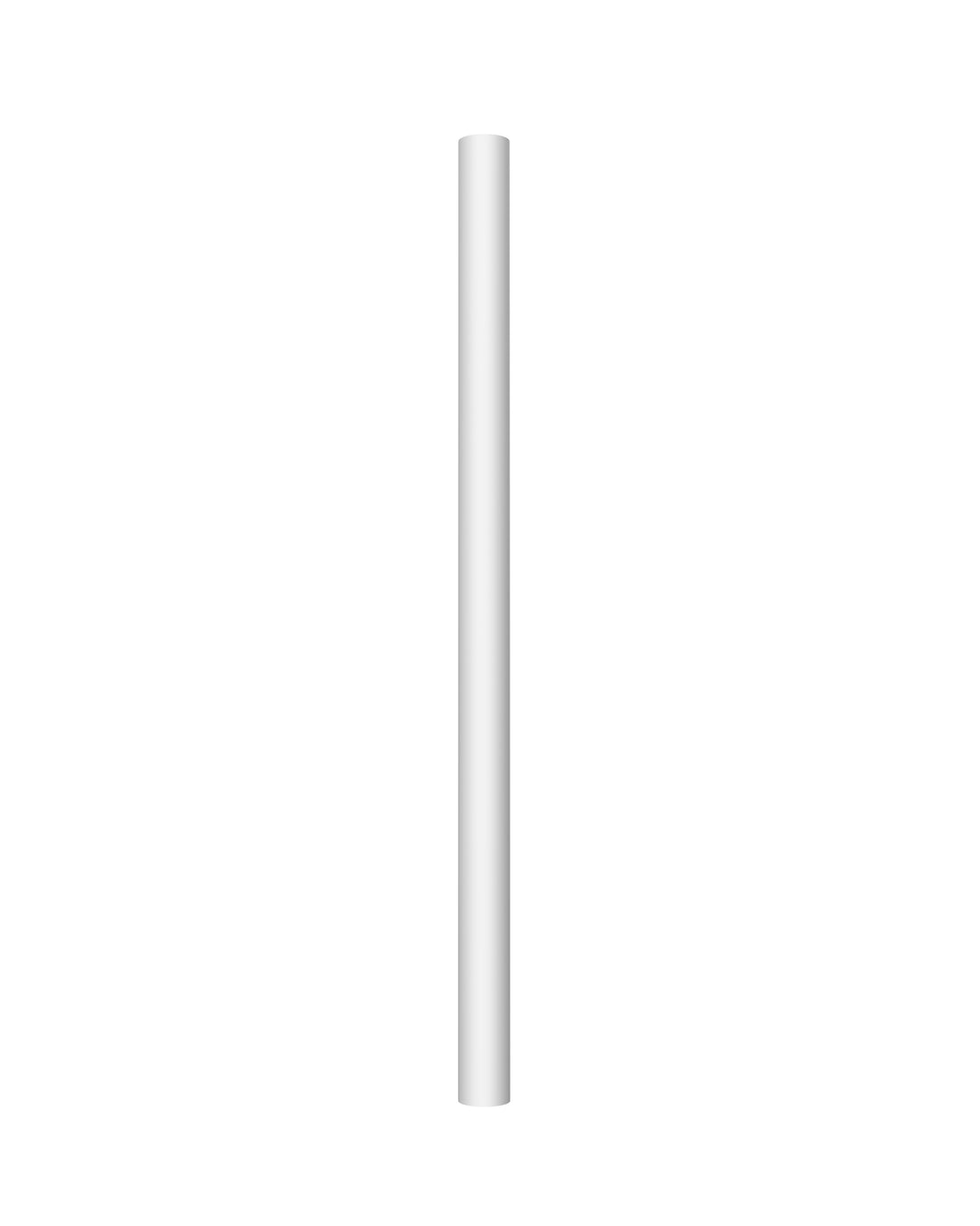 G462/GC010 Extension Pole White 2unite