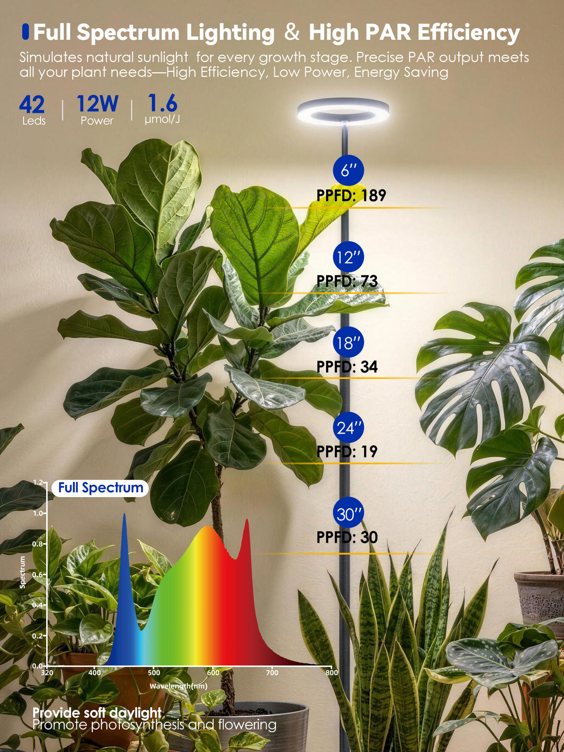 GLOWRIUM G10 full spectrum 12W LED grow light with PPFD output measurements at different heights