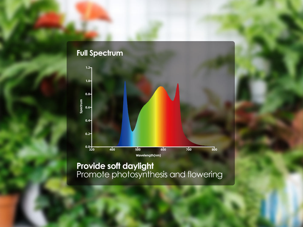 Natural Full-Spectrum Light for Healthy Growth