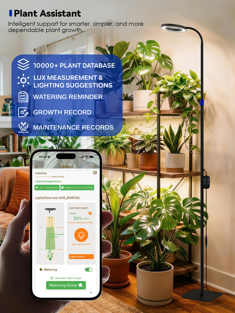 GLOWRIUM® G10 Smart Full Spectrum Floor Grow Light with APP Control, Auto Timer, Telescopic Adjustment for Large Tall Indoor Plants