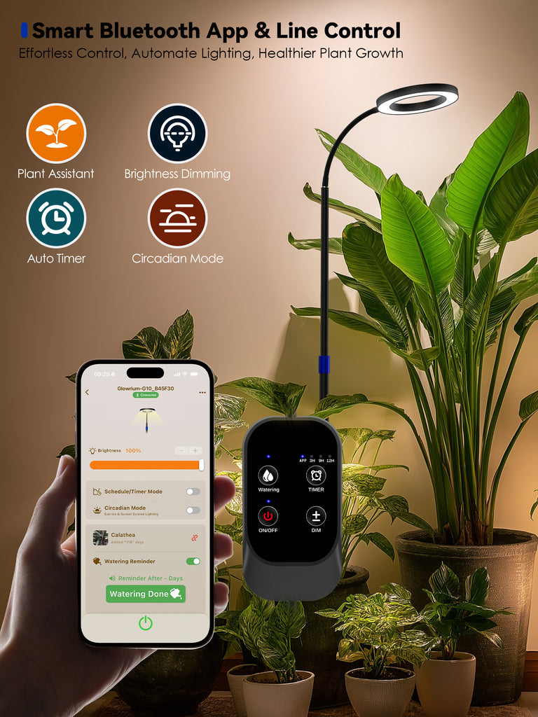 GLOWRIUM® G10 Smart Full Spectrum Floor Grow Light with APP Control, Auto Timer, Telescopic Adjustment for Large Tall Indoor Plants
