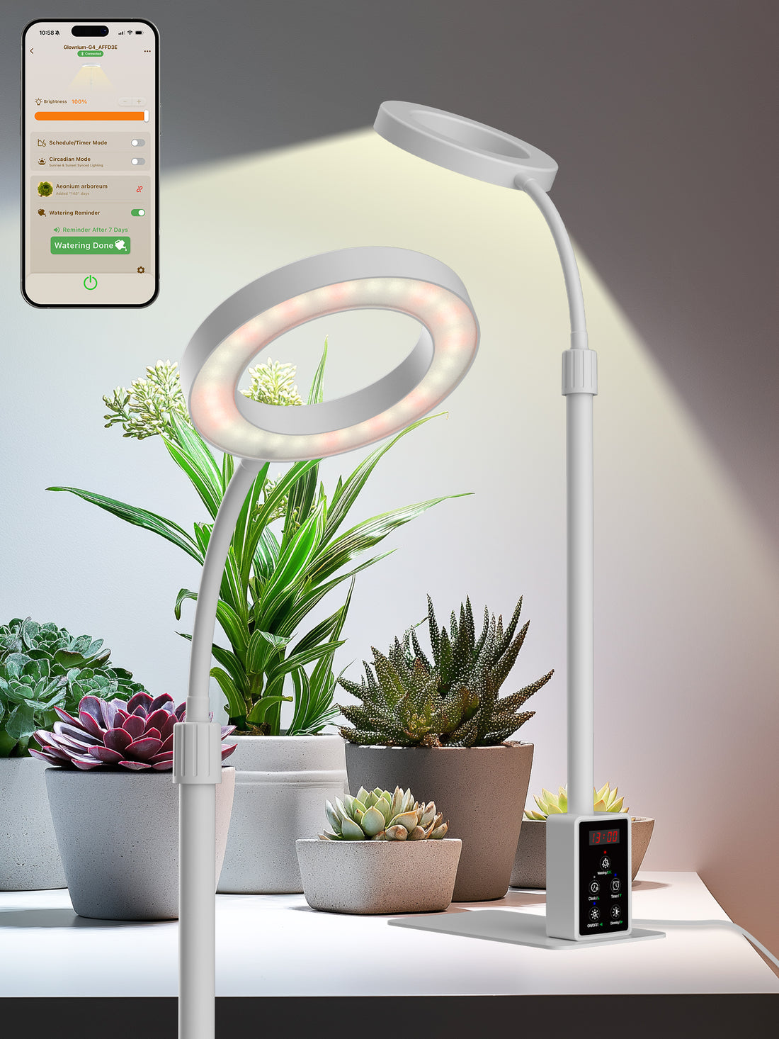 GLOWRIUM G4 12W smart LED desktop grow light in white with app control for indoor potted succulents and houseplants