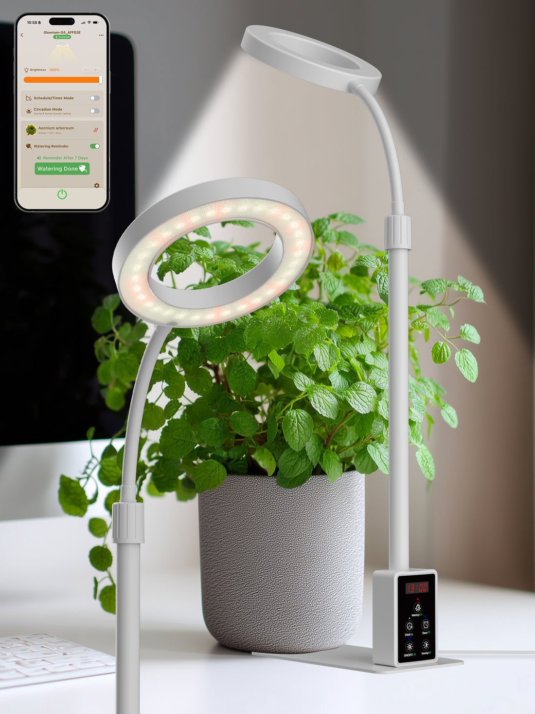 GLOWRIUM G4 8W white smart LED desktop ring grow light illuminating a potted plant with base controller and app setup