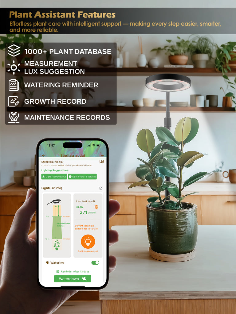 GLOWRIUM® G4 12W Smart LED Grow Light - Full Spectrum Indoor Plant Lamp with App Control, Adjustable Height, Dual Timer, Plant Care Assistant