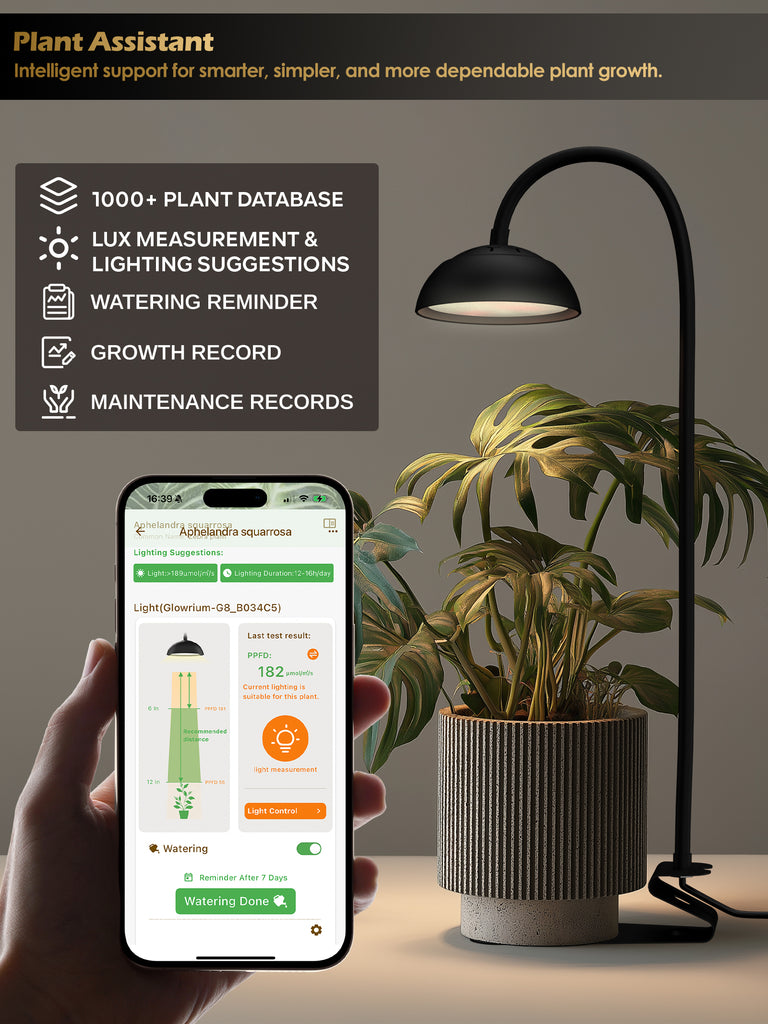 GLOWRIUM® G8 10W Smart LED Grow Light - Full Spectrum Plant Light for Small Indoor Plants