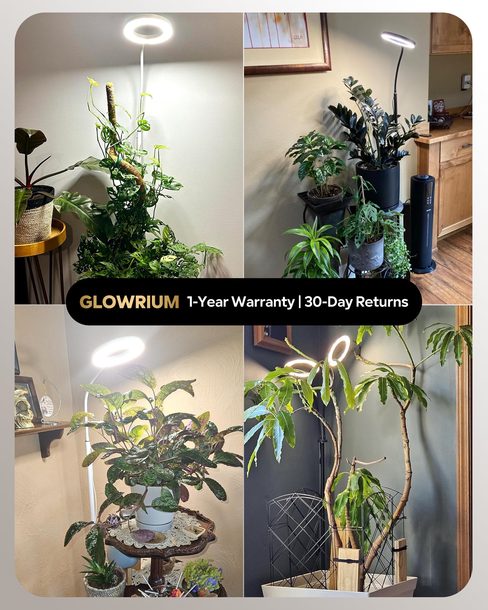 GLOWRIUM®Grow Light  Full Spectrum LED Floor Plant Light for Indoor Plants-G2