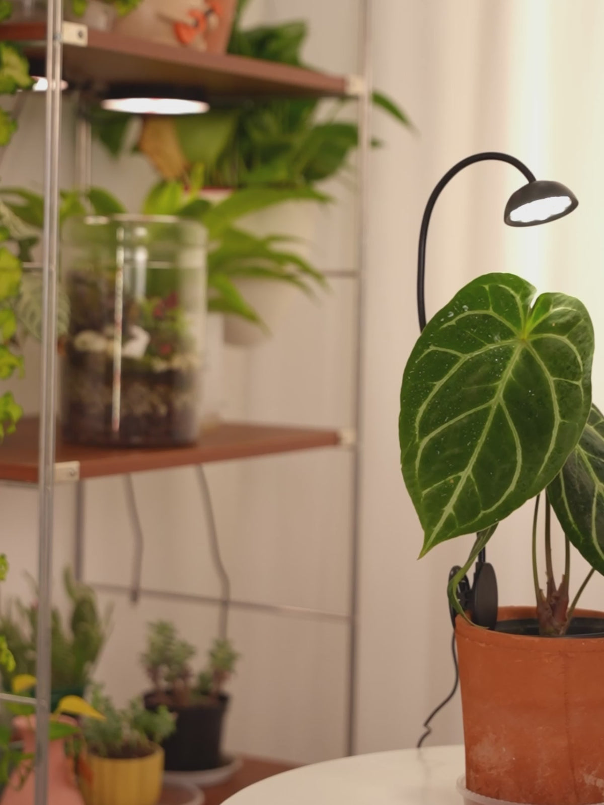 GLOWRIUM® G12 Smart Mini Grow Light - 6W Full Spectrum LED Plant Light with App Control, Timer &amp; 360° Flexible Gooseneck