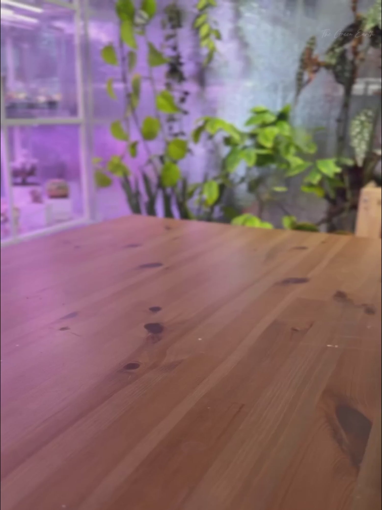 GLOWRIUM Smart LED Grow Light for Indoor Plants - Full Spectrum, Auto Timer, Stepless Dimming, Modular, Plug &amp; Play-G6