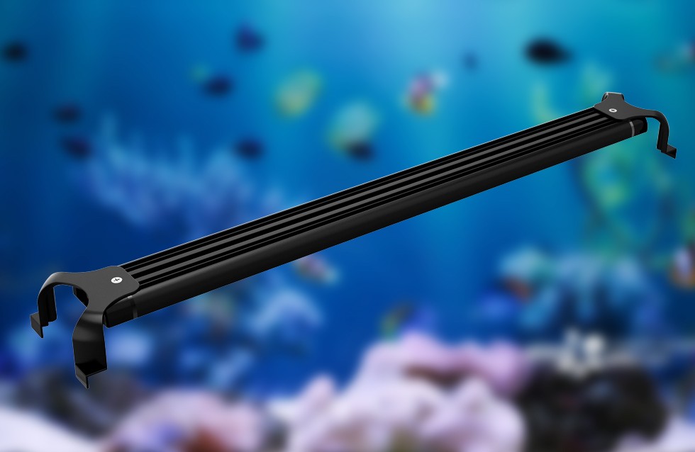How to Choose the Right Led Lights for Your Fish Tank