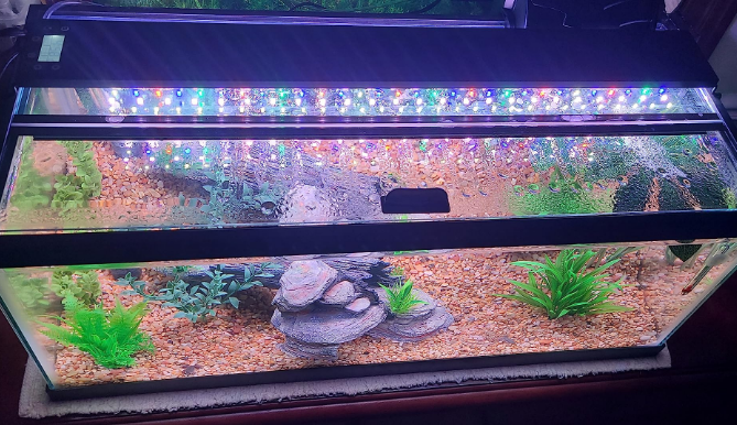 My Favorite Aquarium Light