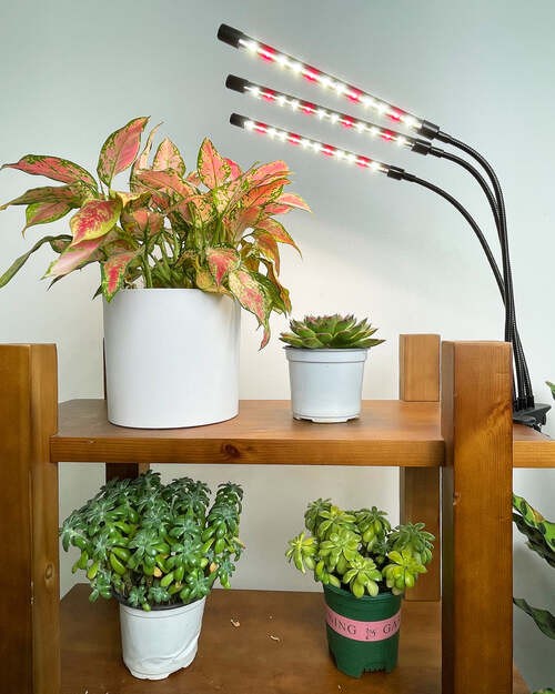 Very Affordable Grow Light