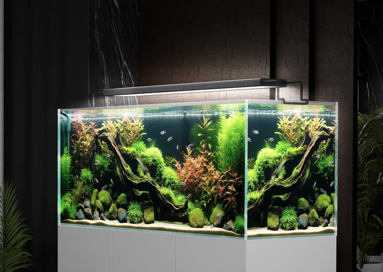 Why Choose Smart Controlled Fish Tank Lights